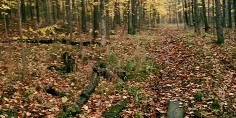 Camper submitted image from Forest Glen County Preserve