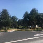 Review photo of Harris Beach State Park Campground by Brittney   G., August 31, 2018