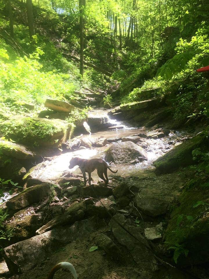 Camper-submitted photo at Deer Ridge Campground — Ferne Clyffe State Park near Jonesboro, IL
