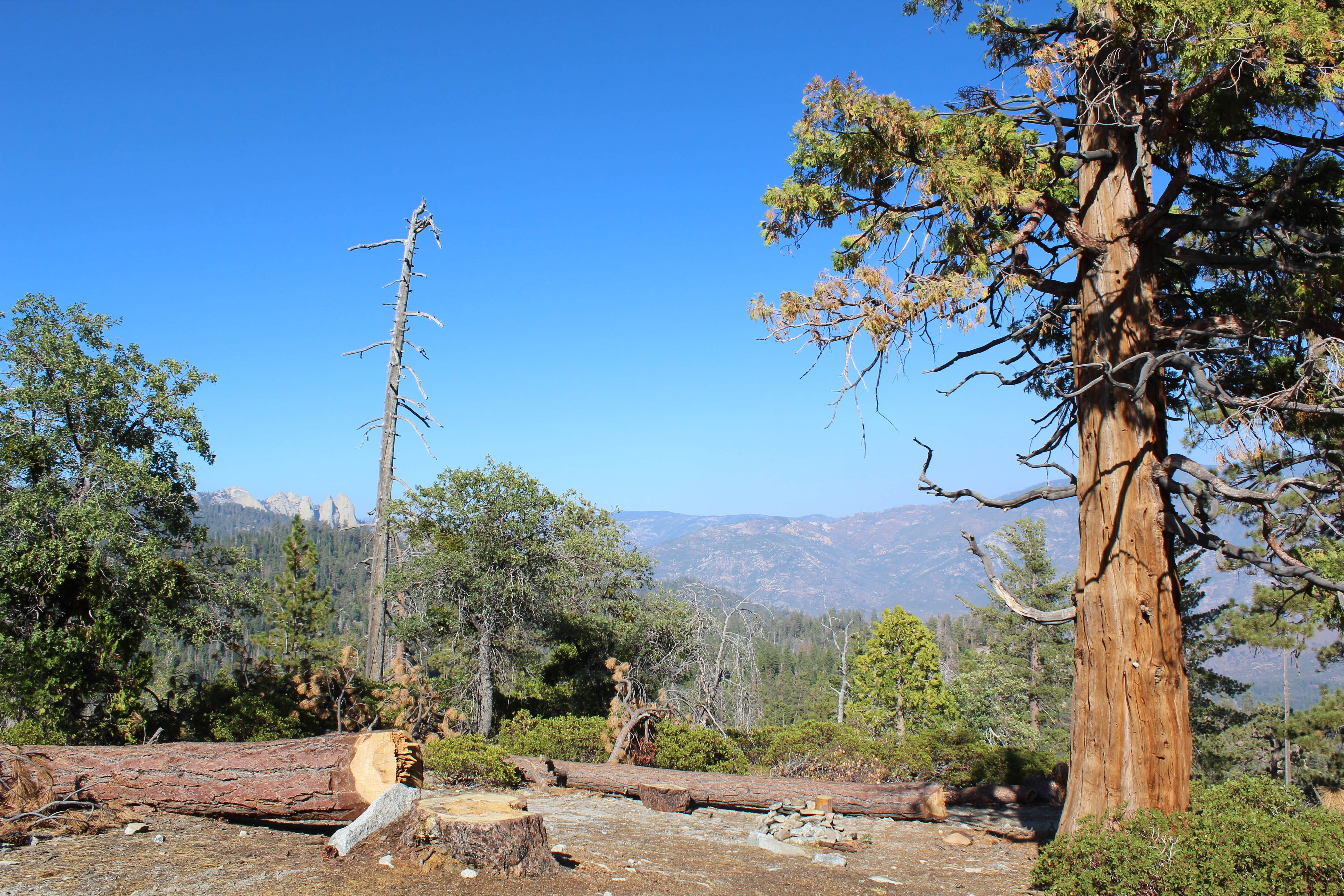 Camper submitted image from Dome Rock Dispersed Camping - 3