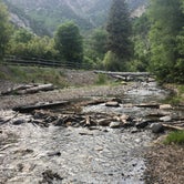 Review photo of Bear Canyon by Monica P., August 31, 2018