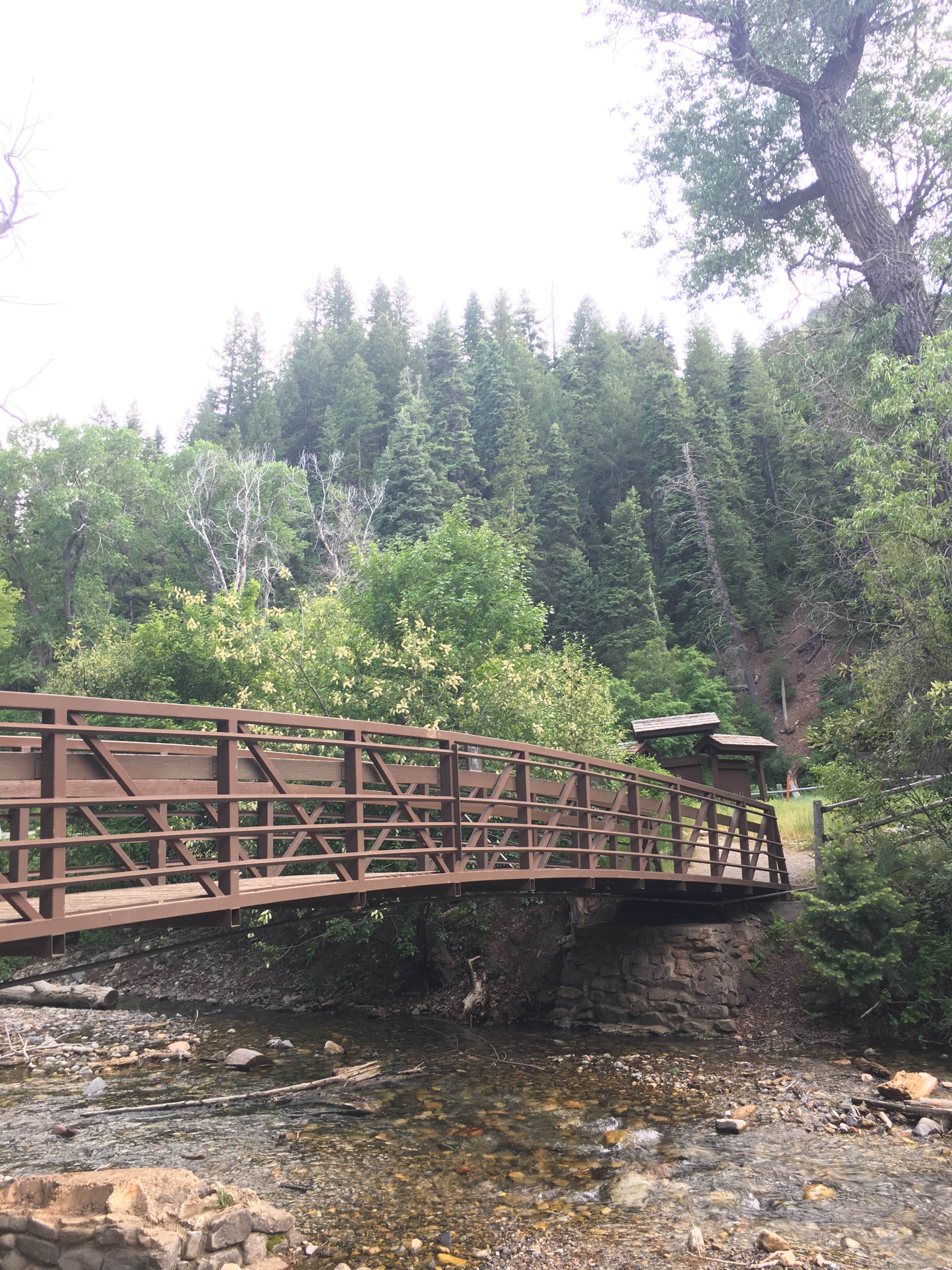 Camper submitted image from Bear Canyon - 5