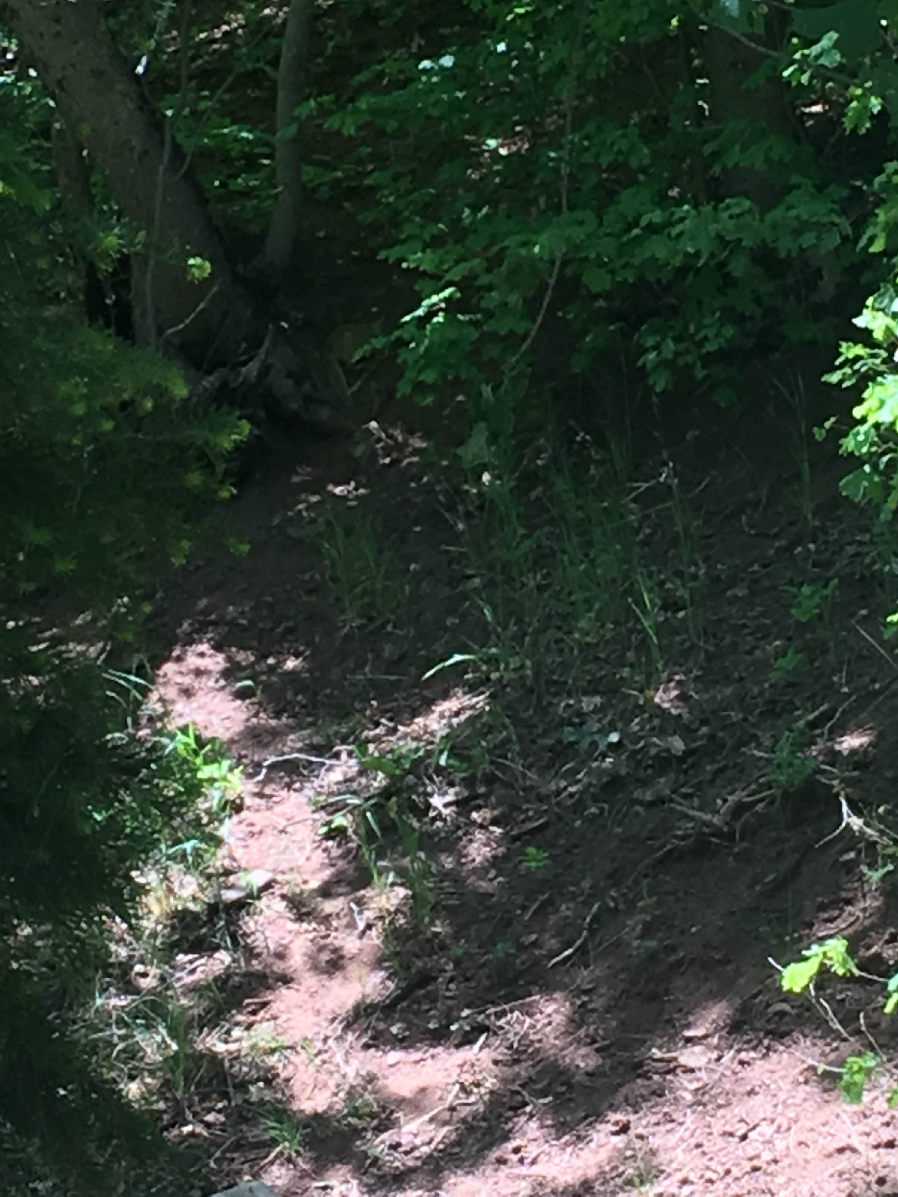 Camper-submitted photo at Bear Canyon near Nephi, UT