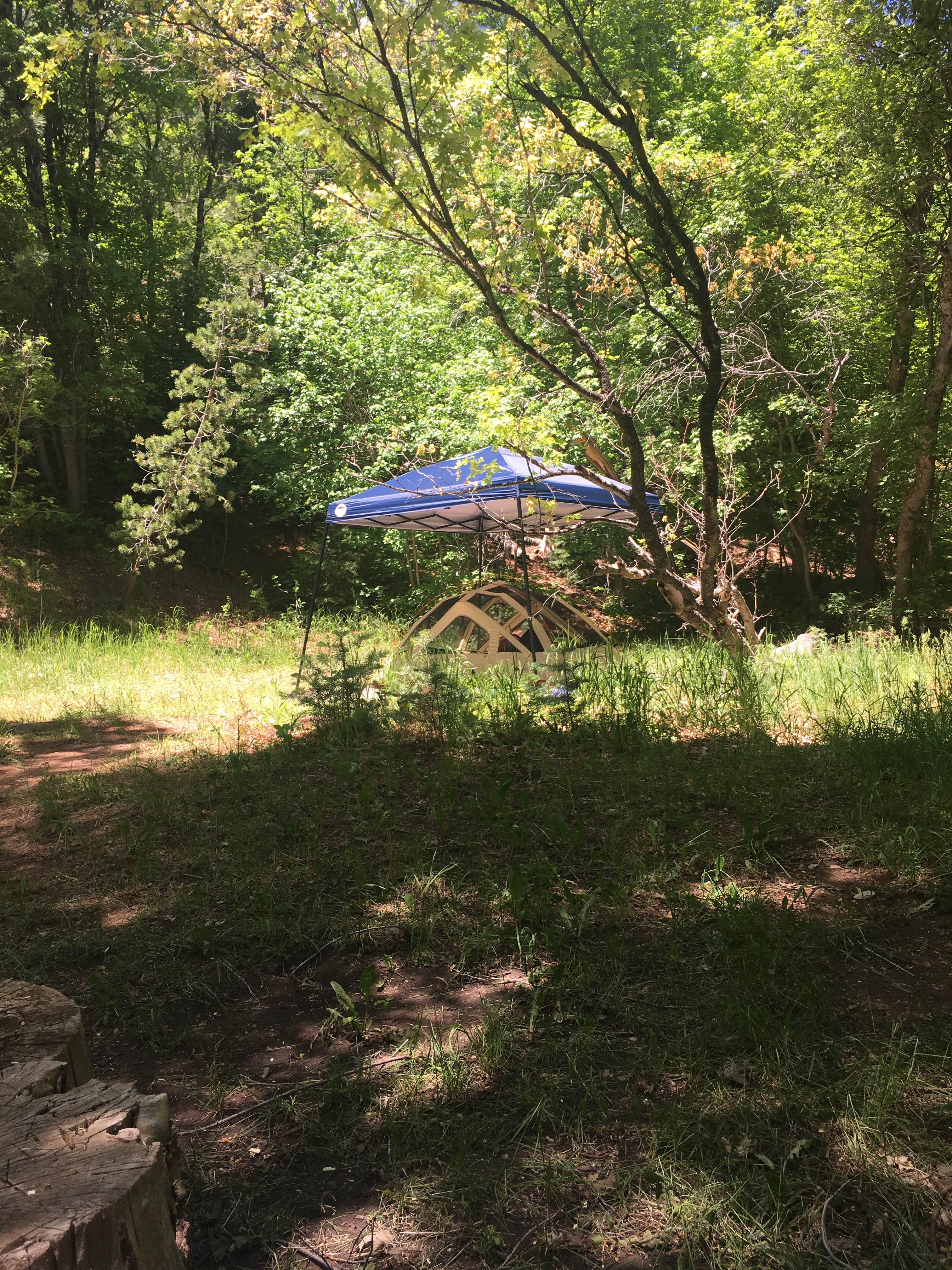 Monica P.'s photo at Bear Canyon near Eureka, UT