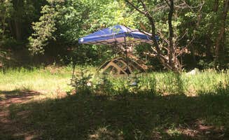 Monica P.'s photo at Bear Canyon near Levan, UT