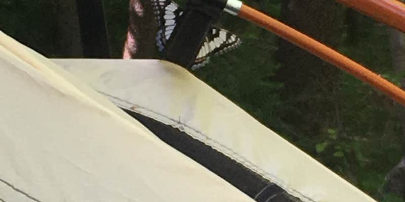 Camper submitted image from Bear Canyon