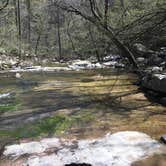 Review photo of Hawn State Park Campground by Mark B., August 31, 2018