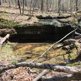 Review photo of Hawn State Park Campground by Mark B., August 31, 2018