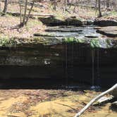 Review photo of Hawn State Park Campground by Mark B., August 31, 2018