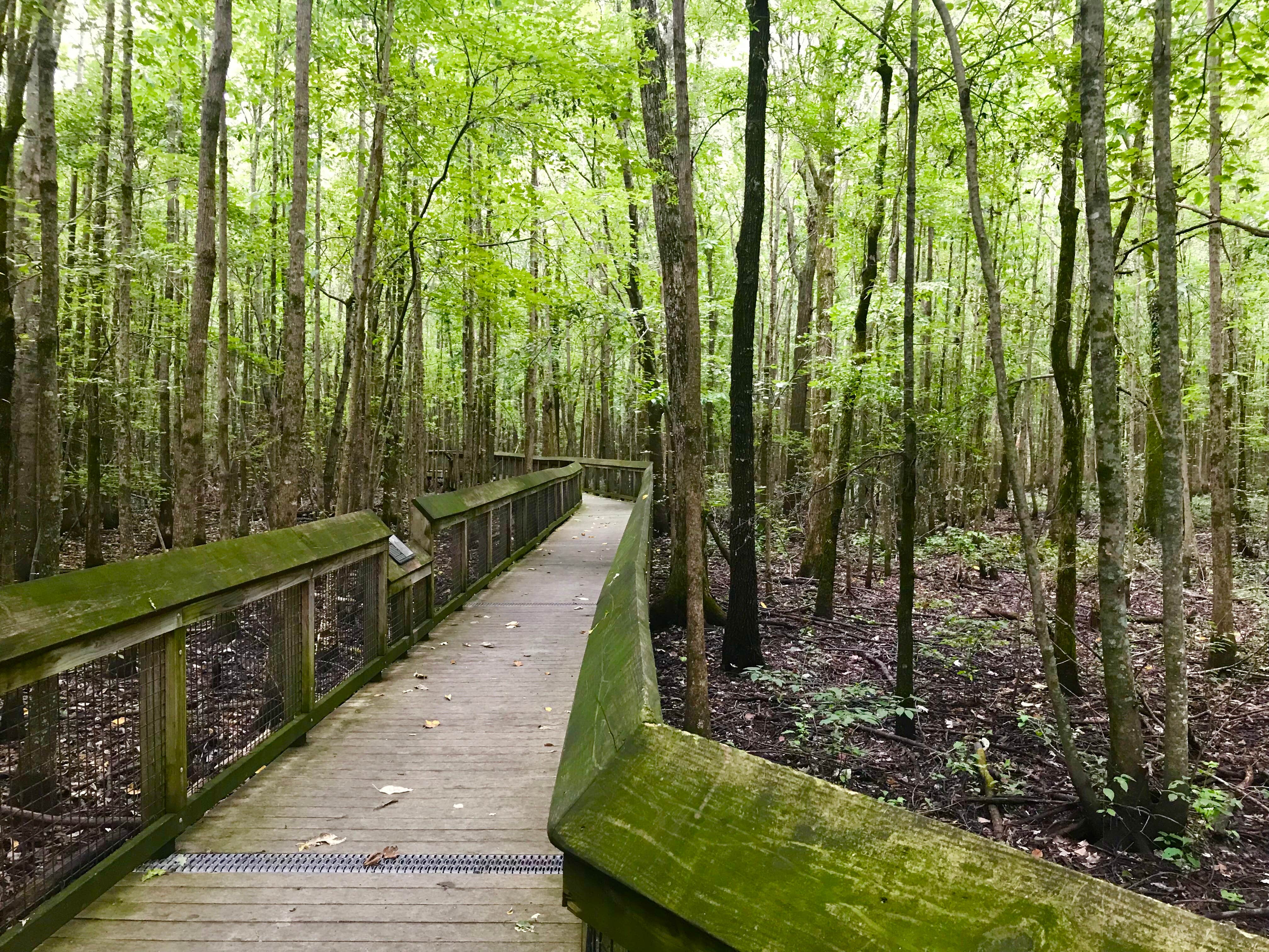 Camping near Dagmar Wildlife Management Area Campsites: Riverfront RV Park, Holly Grove, Arkansas