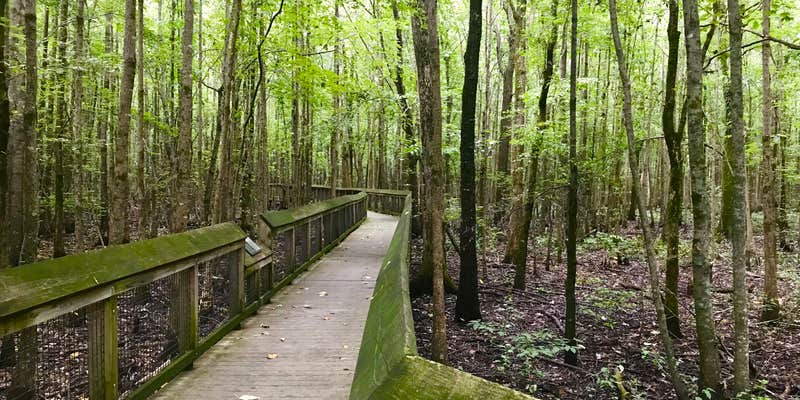 Camper submitted image from Riverfront RV Park