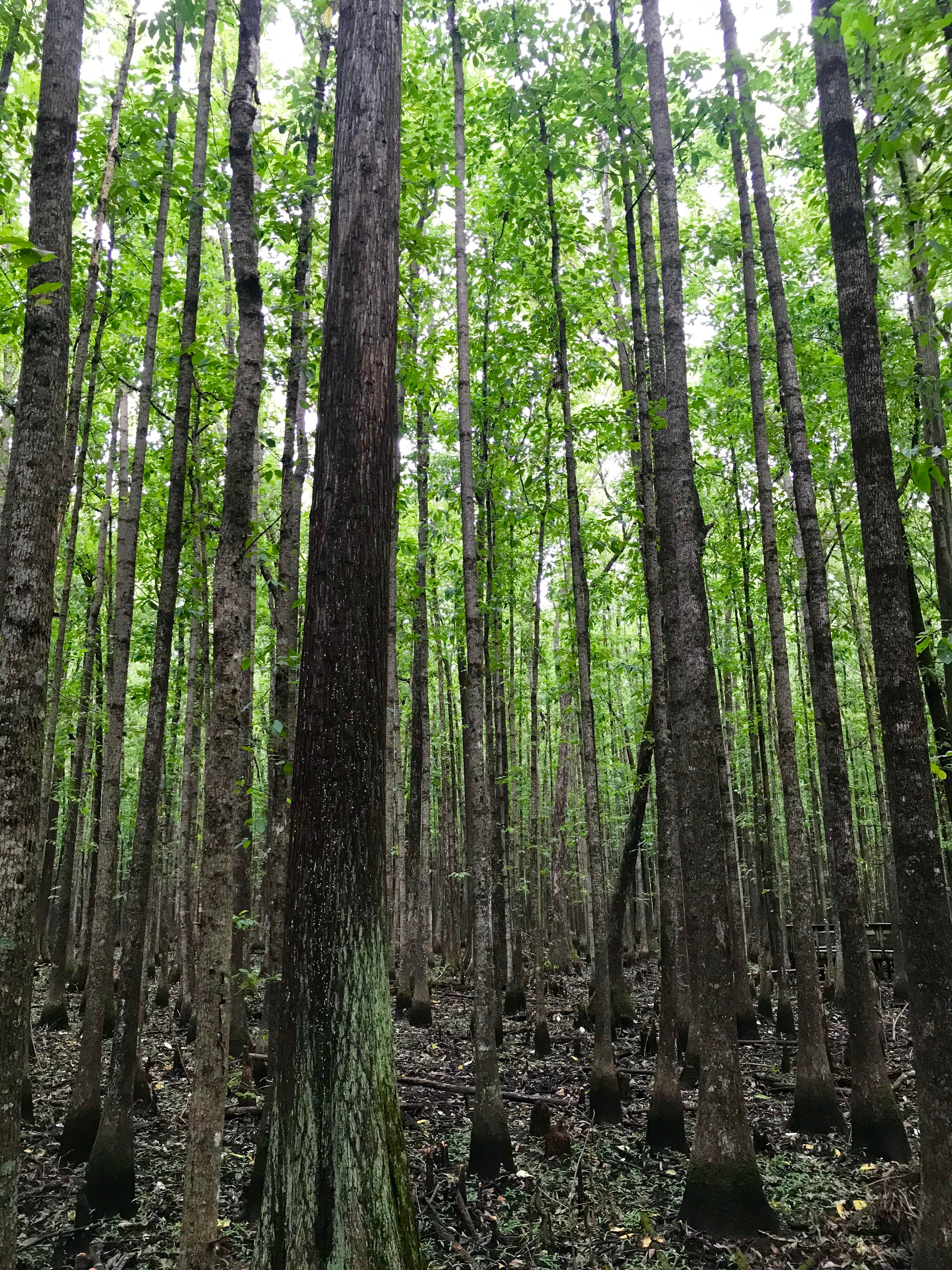 Camper-submitted photo at Riverfront RV Park near Ethel, AR