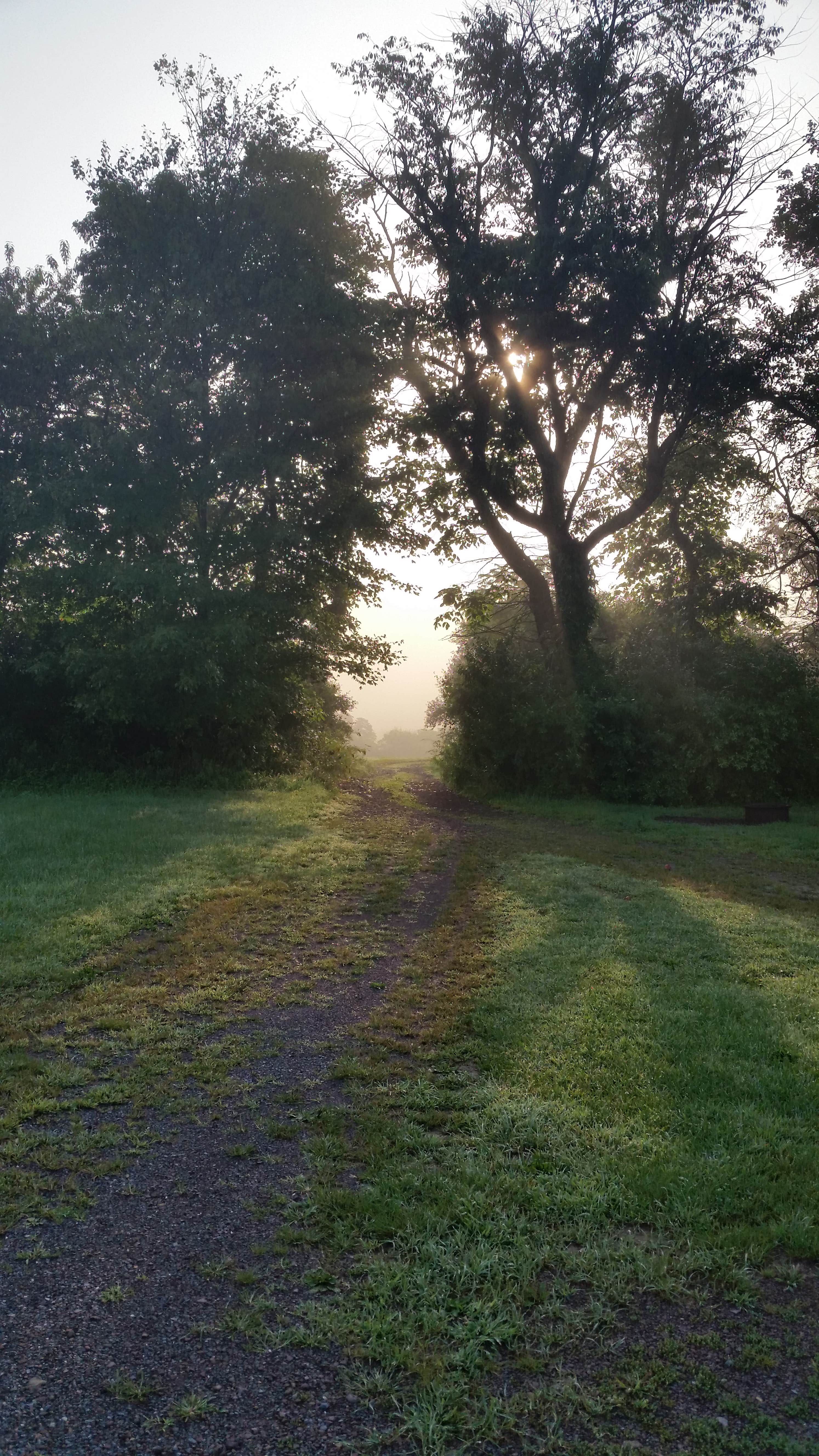 Camper-submitted photo at Don Laine Campground near Slatington, PA