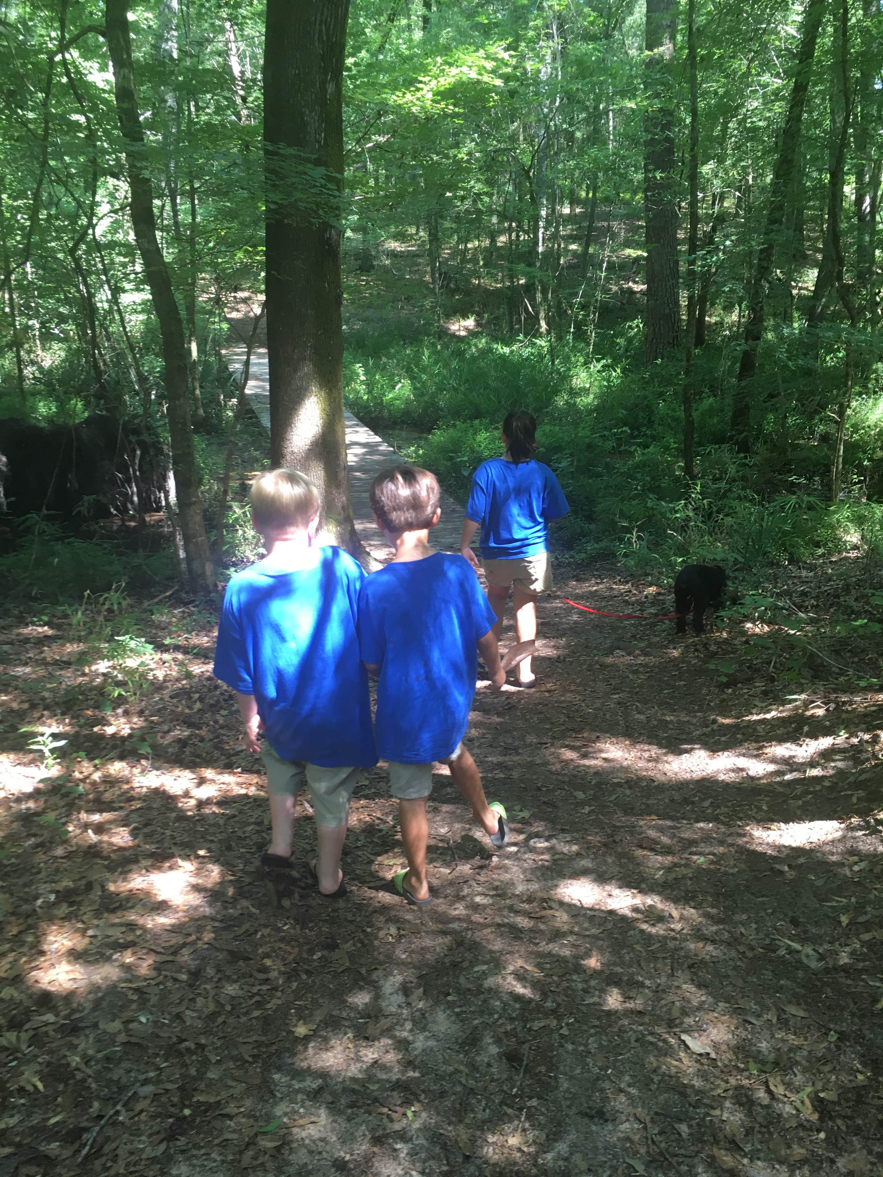 Camper submitted image from Kolomoki Mounds State Park Campground - 3