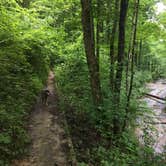 Review photo of Charlestown State Park Campground by Lauren M., August 1, 2018