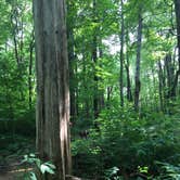 Review photo of Charlestown State Park Campground by Lauren M., August 1, 2018