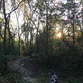 Review photo of Charlestown State Park Campground by Lauren M., August 1, 2018