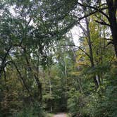 Review photo of Charlestown State Park Campground by Lauren M., August 1, 2018