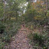 Review photo of Charlestown State Park Campground by Lauren M., August 1, 2018