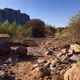 Review photo of Lost Dutchman State Park Campground by GoWhereYouAreDraw N., August 31, 2018