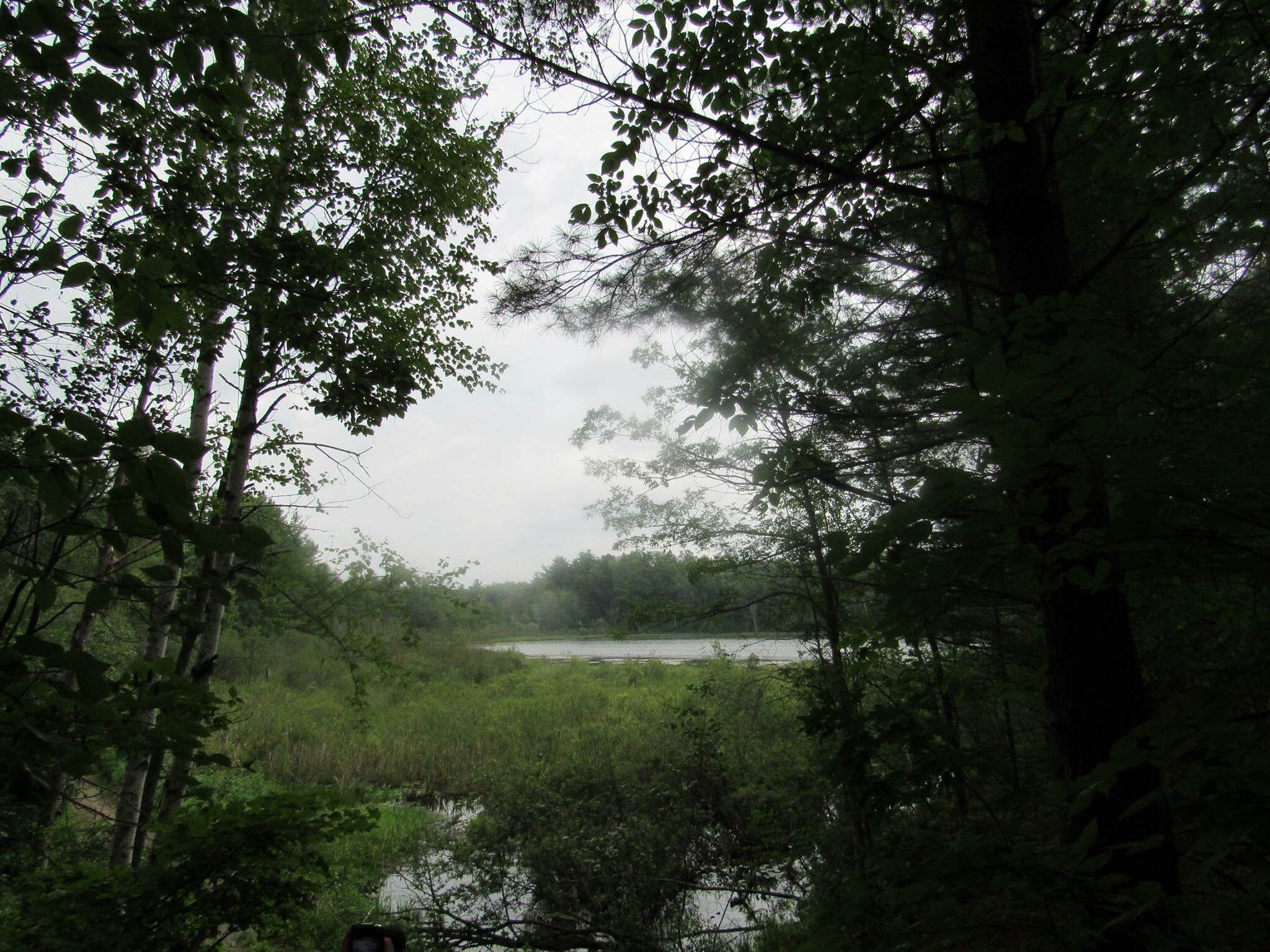 Camper-submitted photo at Rifle River Campground near Au Gres, MI