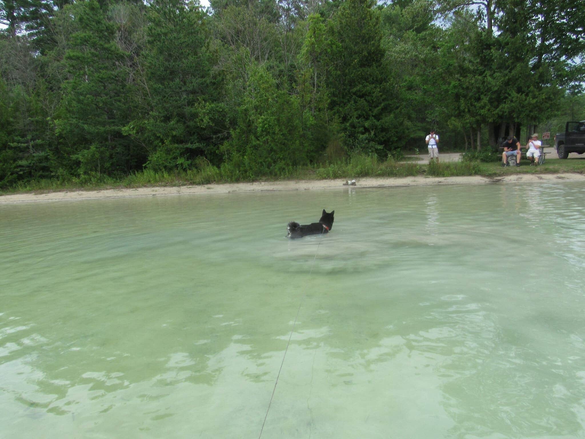 Camper-submitted photo at Rifle River Campground near Au Gres, MI