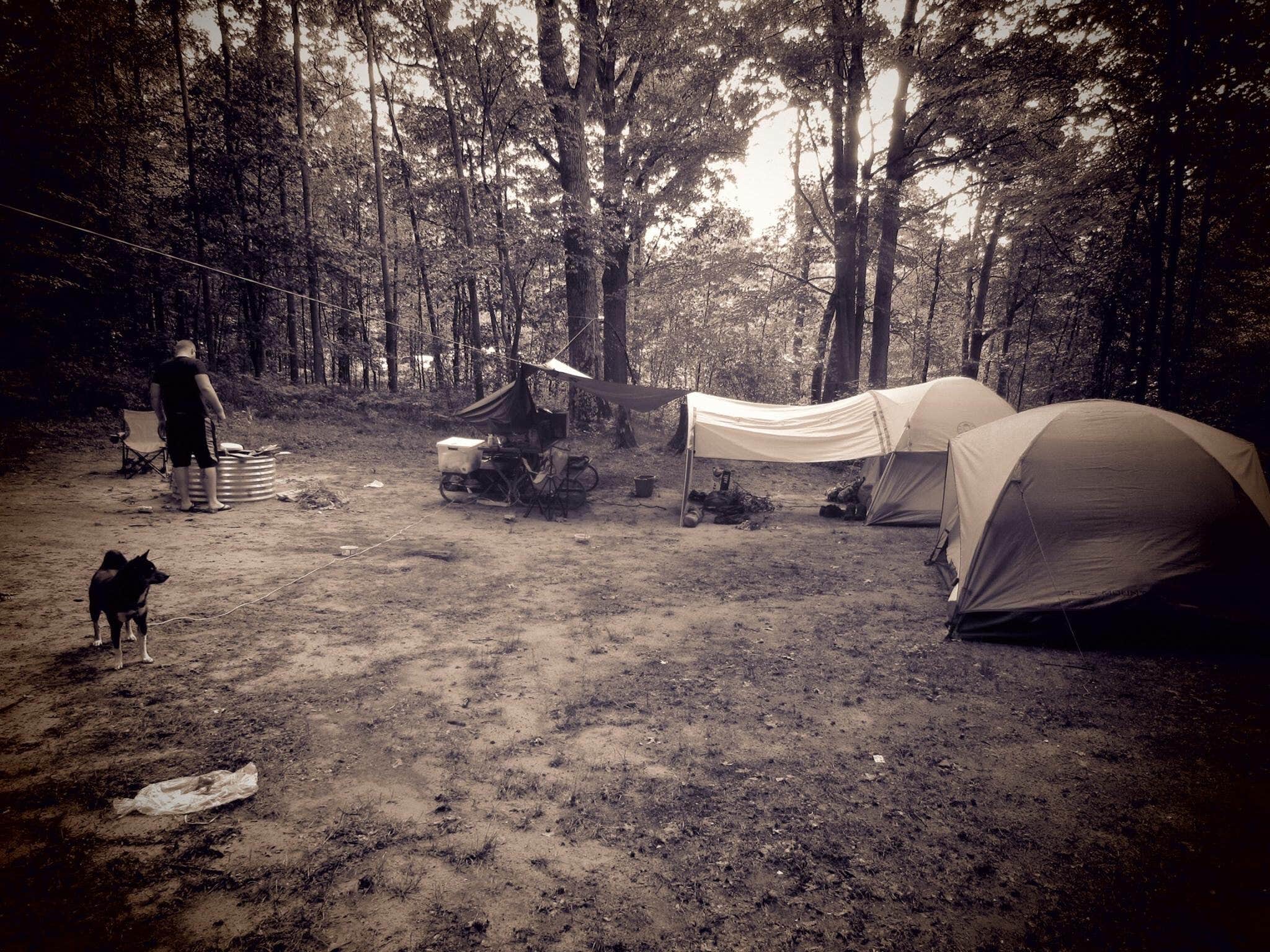 Camper-submitted photo at Rifle River Campground near Au Gres, MI