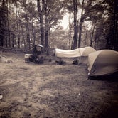 Review photo of Rifle River Campground by Magy C., August 31, 2018