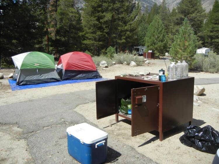 Rosie R.'s photo at Robinson Creek South near Bridgeport, CA