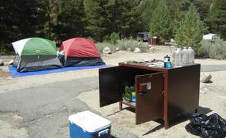 Rosie R.'s photo at Robinson Creek South near Hawthorne, NV