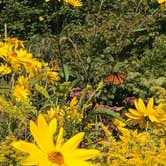 Review photo of Hoffmaster State Park Campground by Magy C., August 27, 2018