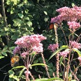 Review photo of Hoffmaster State Park Campground by Magy C., August 27, 2018