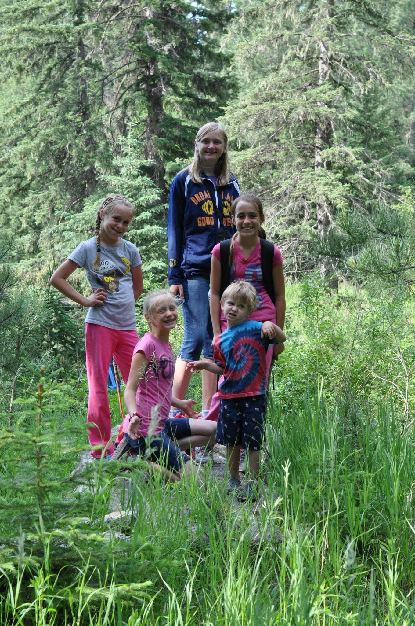 Camper submitted image from Boxelder Forks Campground — Black Hills National Forest - 4