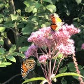 Review photo of Hoffmaster State Park Campground by Magy C., August 27, 2018