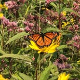 Review photo of Hoffmaster State Park Campground by Magy C., August 27, 2018