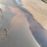 Review photo of Hoffmaster State Park Campground by Magy C., August 27, 2018