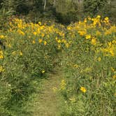 Review photo of Hoffmaster State Park Campground by Magy C., August 27, 2018