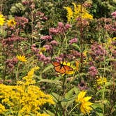 Review photo of Hoffmaster State Park Campground by Magy C., August 27, 2018