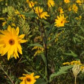 Review photo of Hoffmaster State Park Campground by Magy C., August 27, 2018