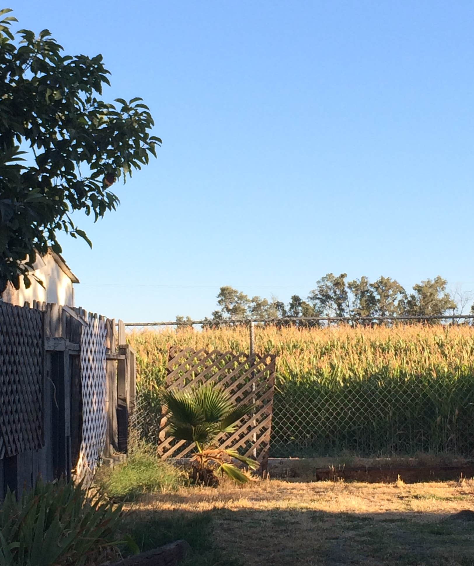Camper-submitted photo at Olive Lane Mobile Estates near Waterford, CA