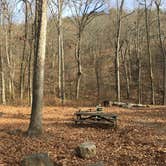 Review photo of Mount Nebo State Park Campground by 2SHOE S., August 31, 2018