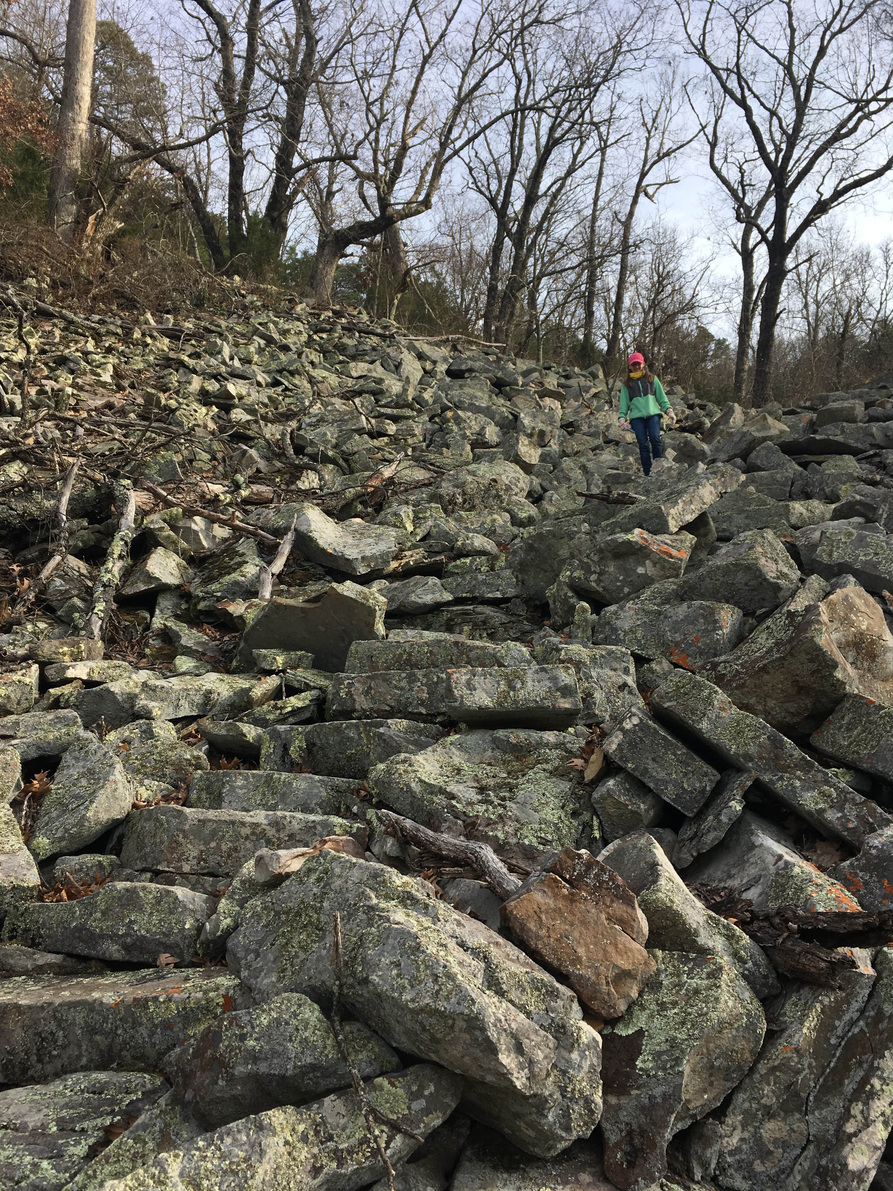 Camper-submitted photo at Mount Nebo State Park Campground near Ozark-St. Francis National Forests