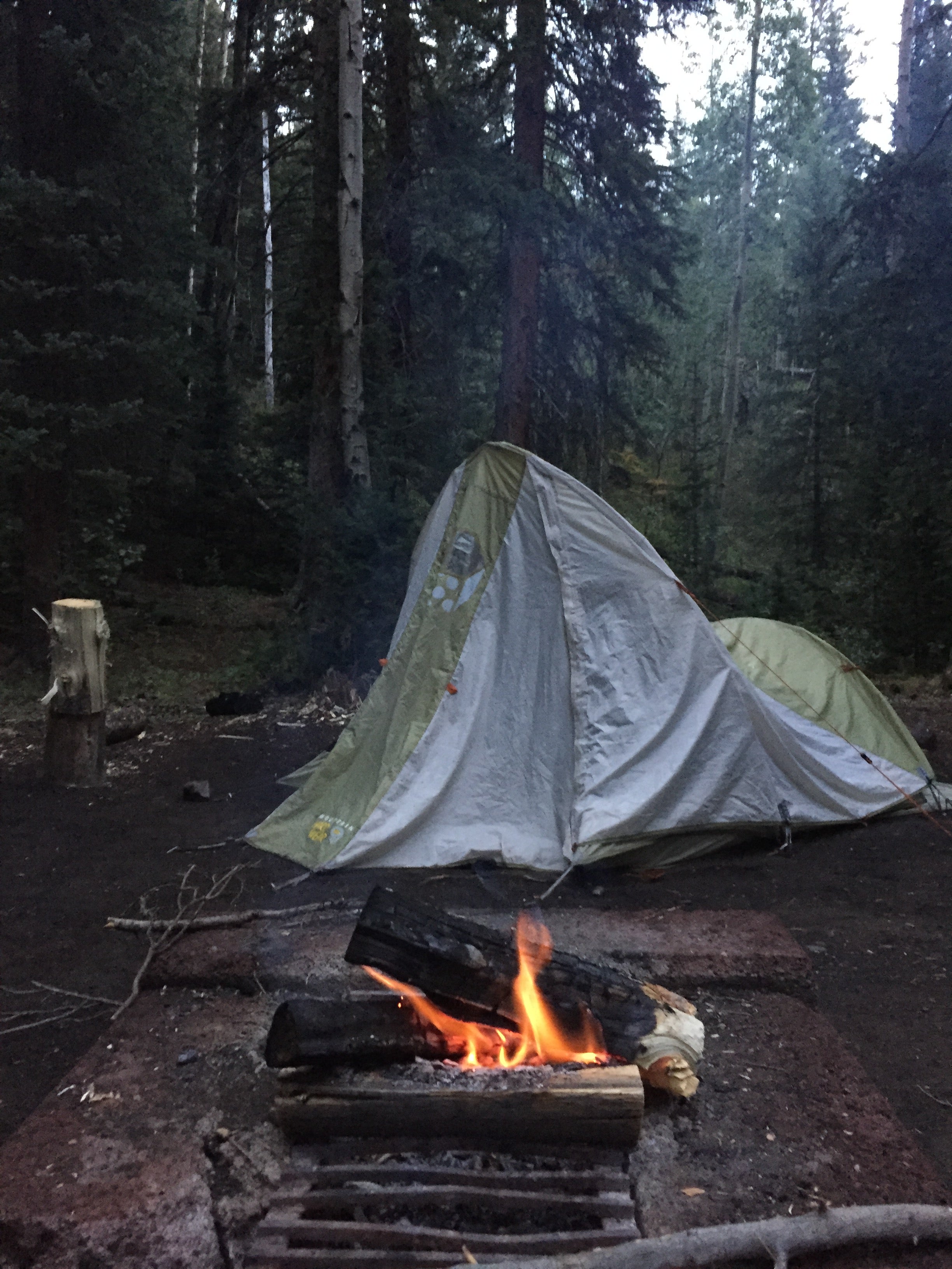 Camper submitted image from Handcart Campground - 4