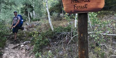 Maroon Bells-Snowmass Wilderness Dispersed Camping photo 4