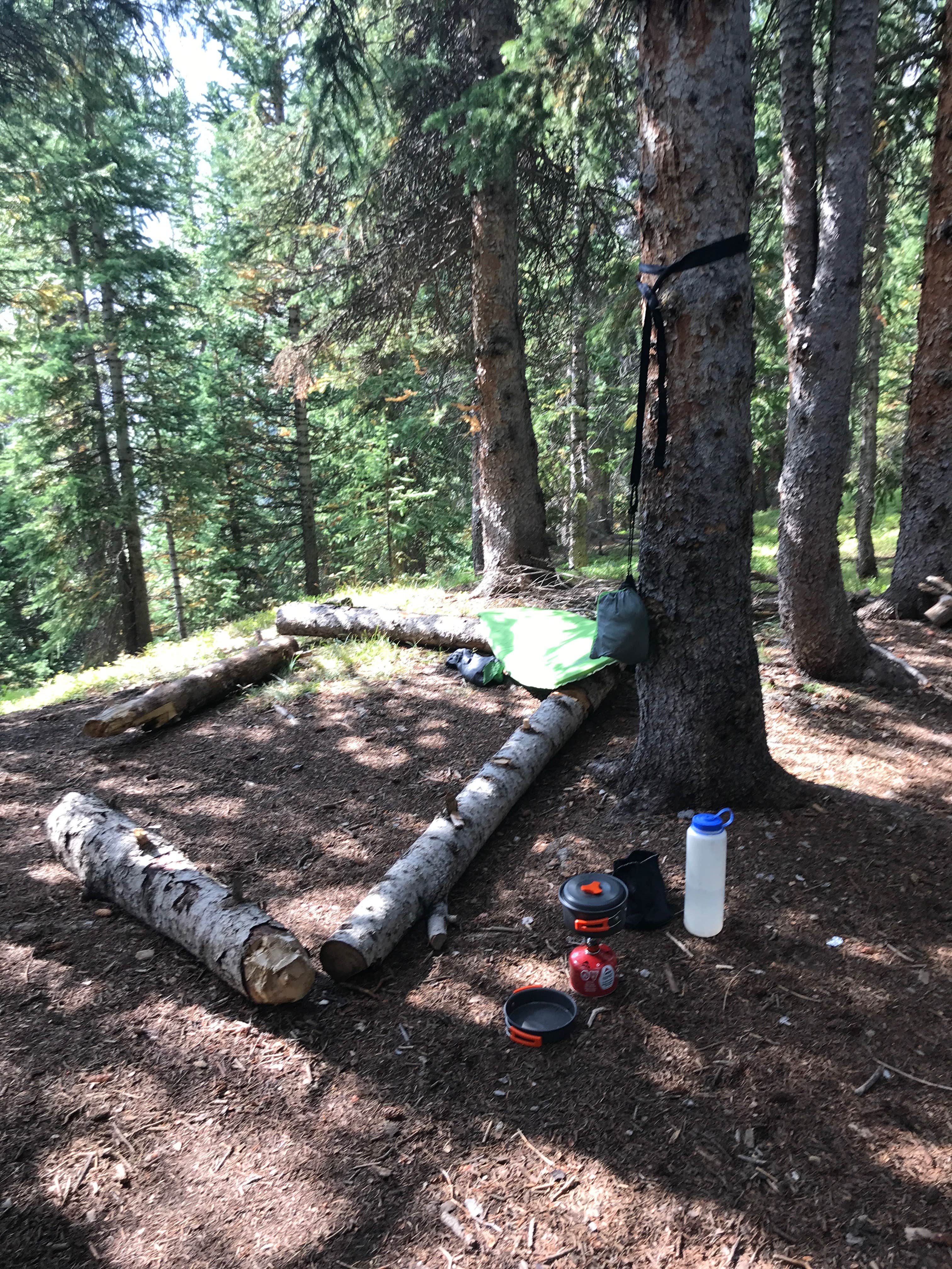 Camper-submitted photo at Maroon Bells-Snowmass Wilderness Dispersed Camping near Snowmass Village, CO