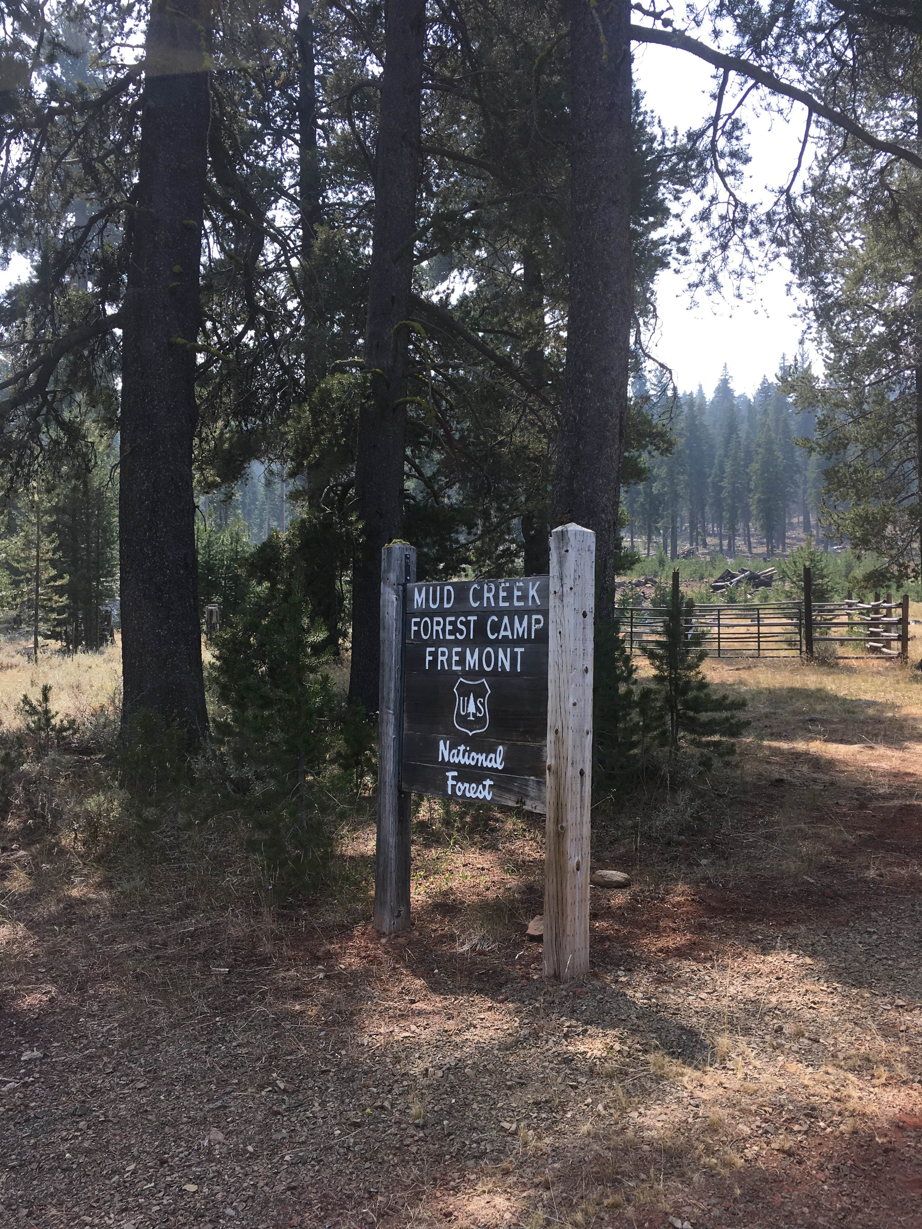 Camper submitted image from Fremont National Forest Mud Creek Forest Camp - 2