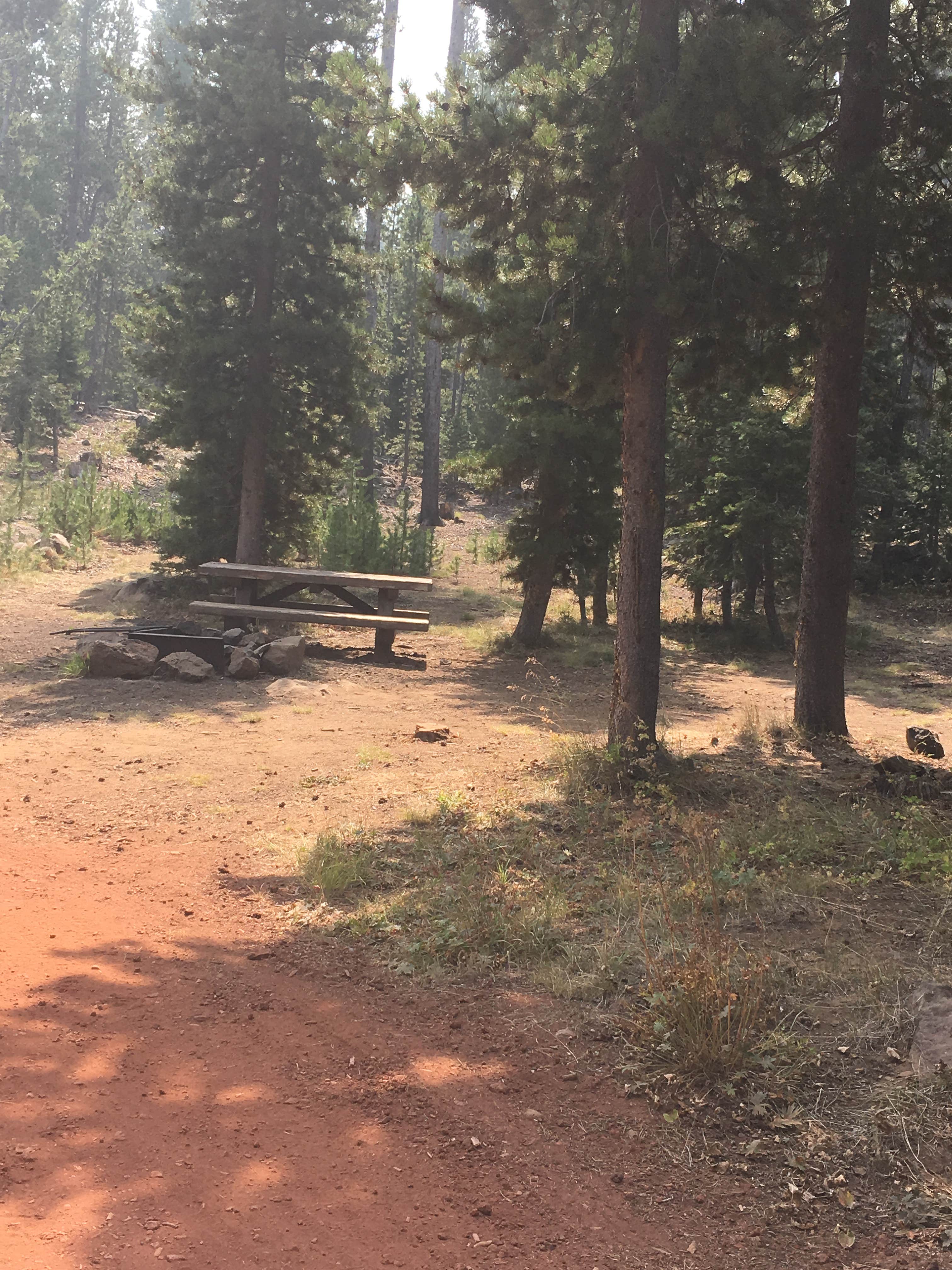 Camper submitted image from Fremont National Forest Mud Creek Forest Camp - 3