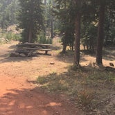 Review photo of Fremont National Forest Mud Creek Forest Camp by Kelly N., August 31, 2018