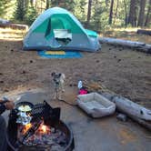 Review photo of Cattle Camp Campground by Renee W., August 31, 2018