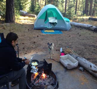 Camper-submitted photo from Northshore Campground